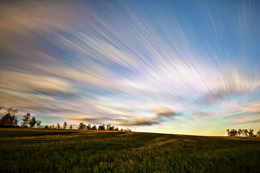 Tree Photograph - Wind Stream Streaks by Matt Molloy