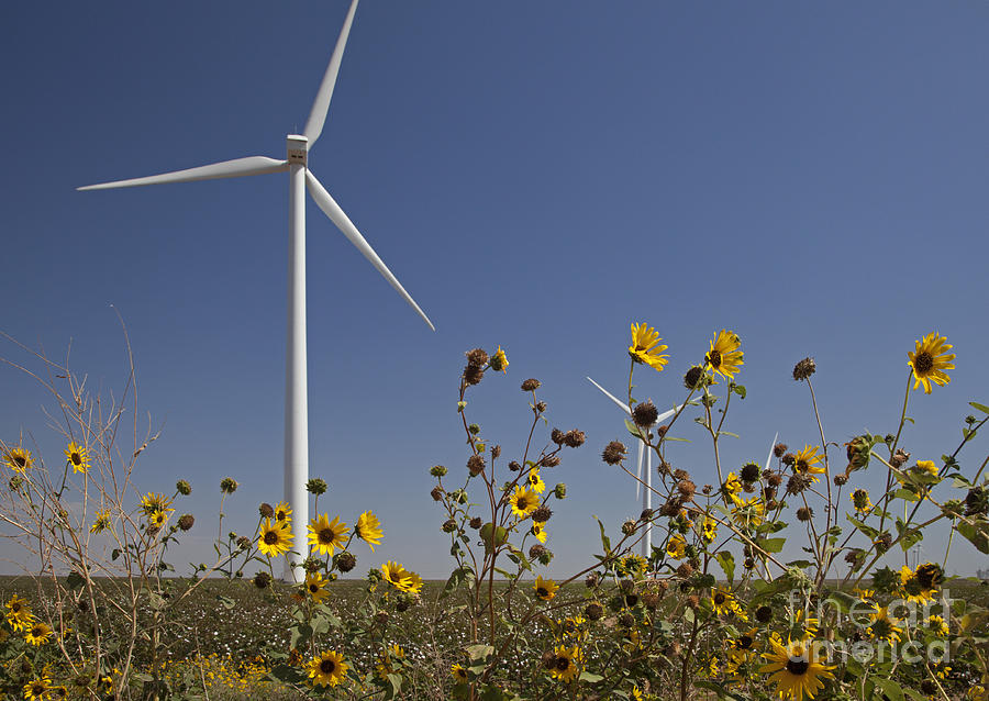 Wind Turbine and Sunflowers Photograph by Jim West
