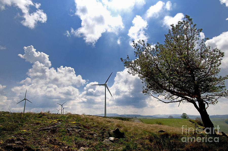 Tree Photograph - Wind turbine and tilted tree isolated in the countryside. by Bernard Jaubert