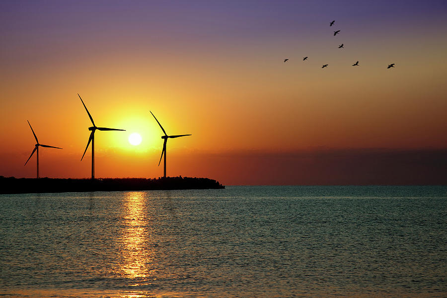 Wind Turbine Farm In Sunset Photograph by Mariusfm77