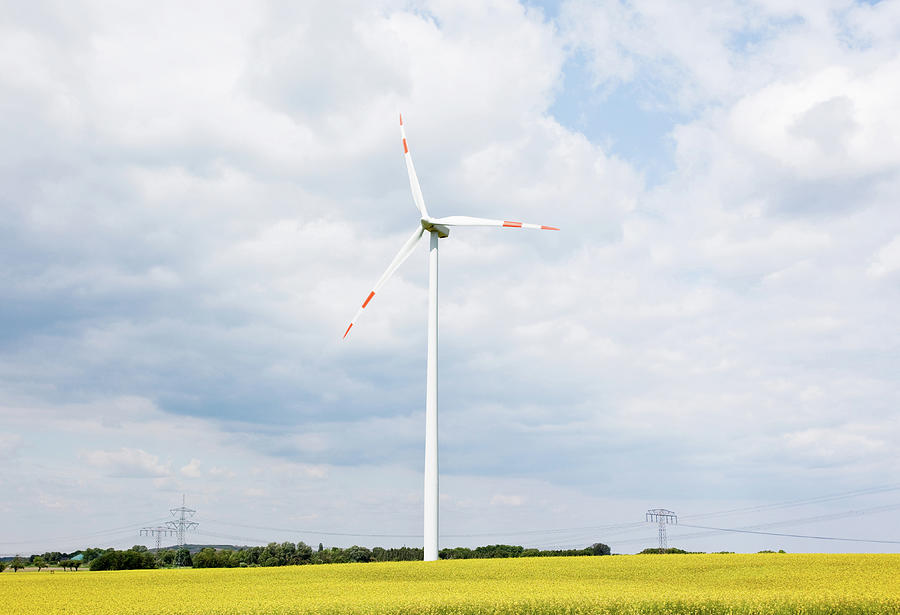 Wind Turbine In Yellow Field Photograph by Guido Mieth