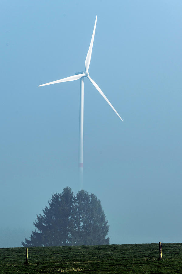 Tree Photograph - Wind Turbine by Jmquinet/reporters/science Photo Library