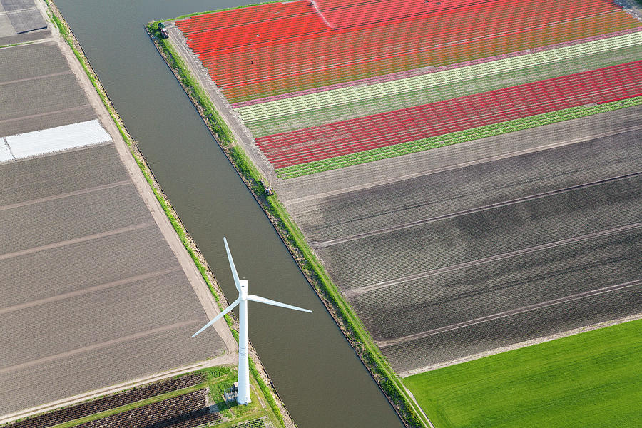 Wind Turbine, Tulip Fields, North Photograph by Peter Adams