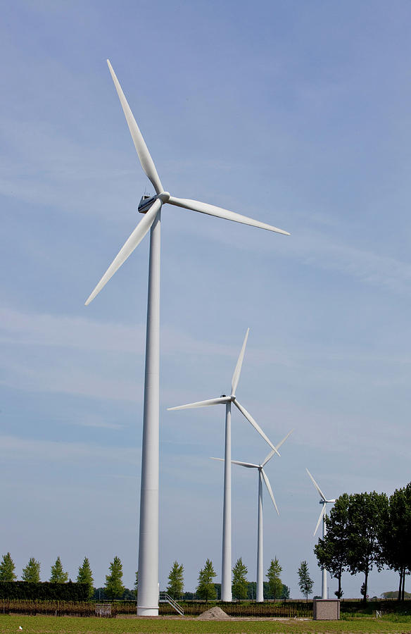 Wind Turbines In A Farm, Holland Photograph by Panoramic Images