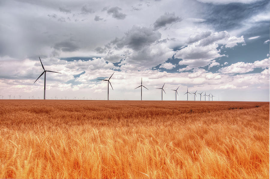 Wind Turbines In Wheat Field Photograph by John Bielick Photography