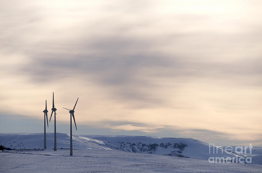 Nature Photograph - Wind turbines in winter by Bernard Jaubert