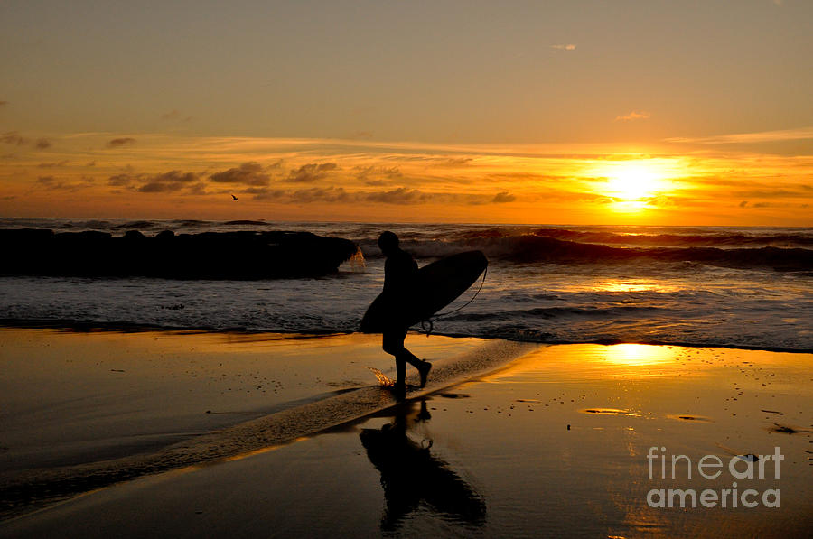 Windansea Surfer Photograph by Kelly Wade