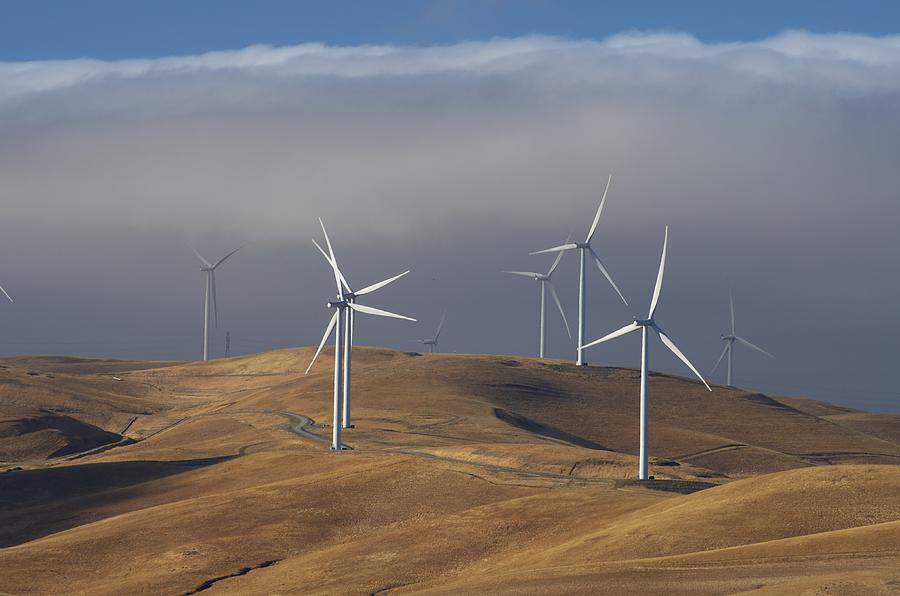 Windfarm Photograph by Robin Mayoff