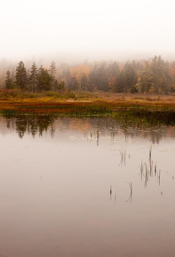 Windham pond on a foggy day Photograph by Vance Bell