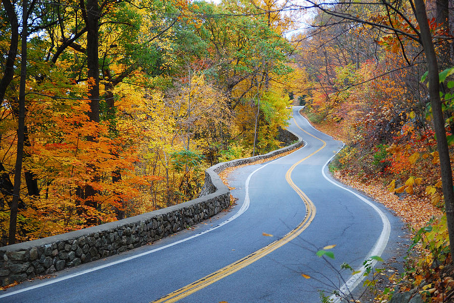 Winding Autumn road with colorful foliage Photograph by Songquan Deng