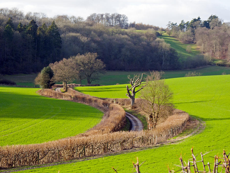 Winding Country Lane Photograph by Tony Murtagh
