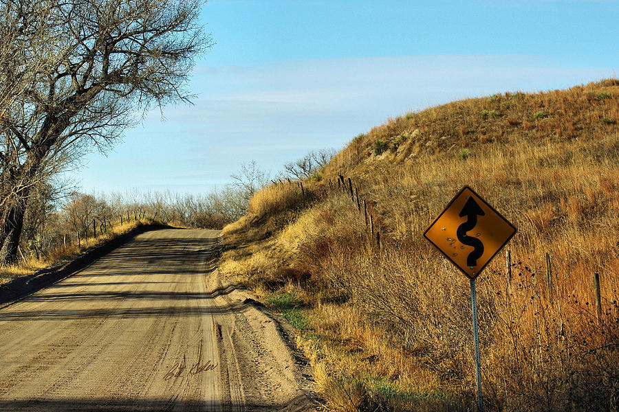 Winding Country Road Photograph by Bill Kesler