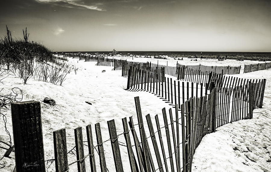 Winding Fence - Bridgehampton Beach, NY Photograph by Madeline Ellis