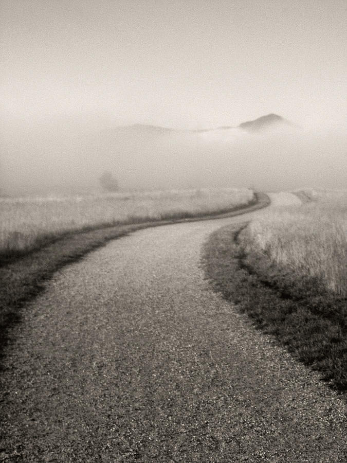 Mountain Photograph - Winding Path and Mist by Marilyn Hunt