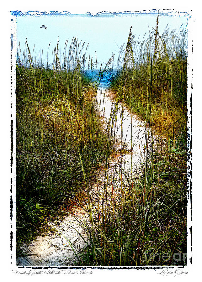 Winding Path Photograph by Linda Olsen