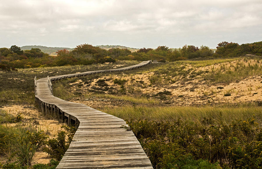 Path Photograph - Winding Path over the Marshes by Nancy De Flon