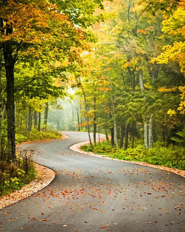 Winding Road In Autumn Photograph By Chris Vander Velde