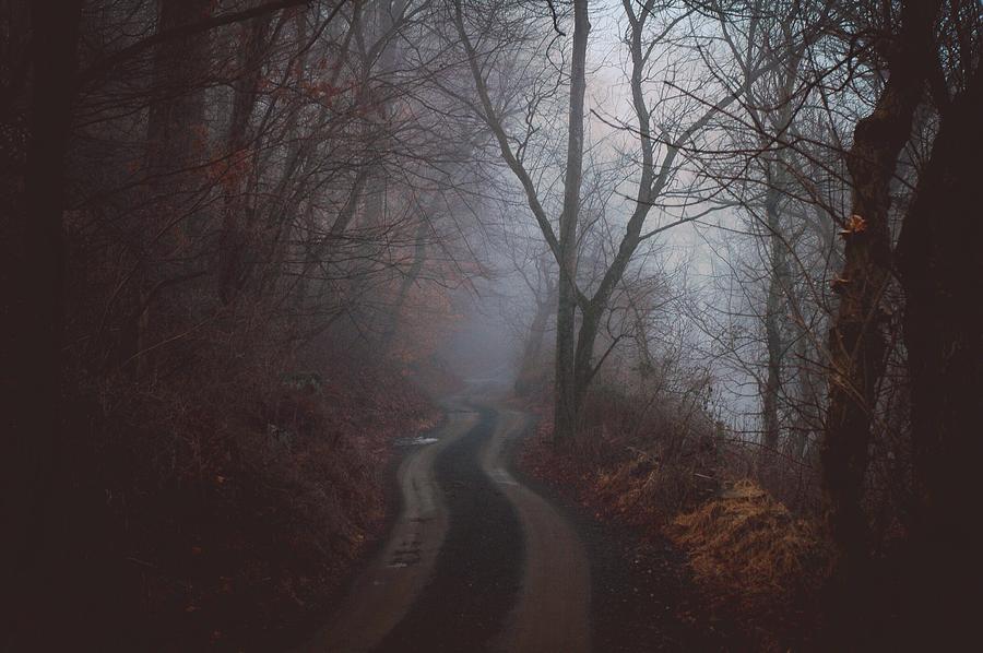 Winding Road Photograph by Jason Rose - Fine Art America