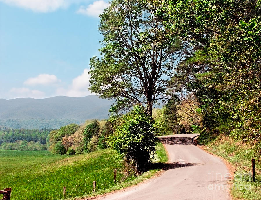 Winding Road on Summer Day in Cades Cove Smoky Mountain Nation Photograph by Sherry  Curry