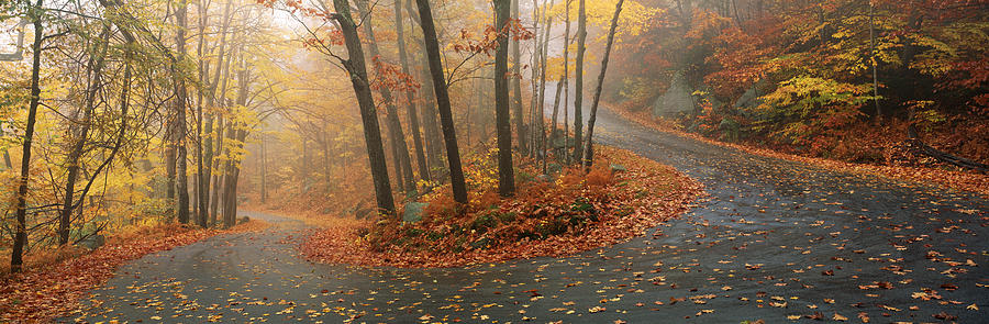 Winding Road Through Mountainside In Photograph by Panoramic Images ...