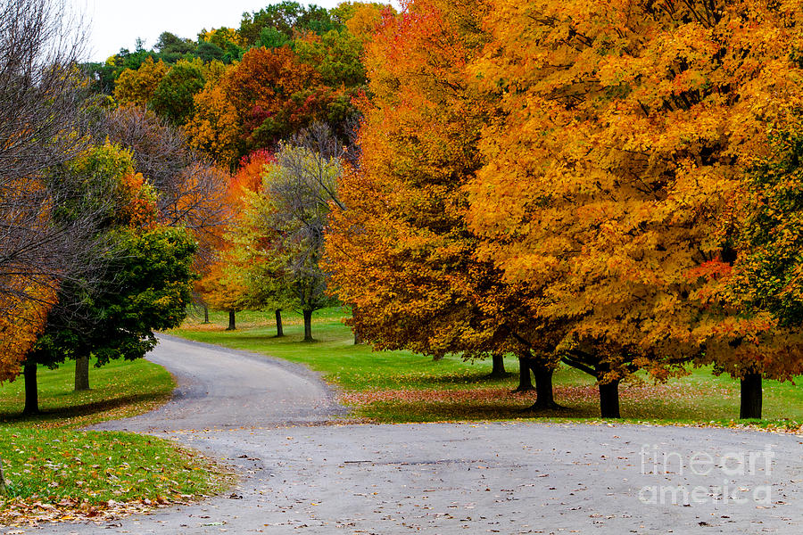 Fall Photograph - Winding Road by William Norton