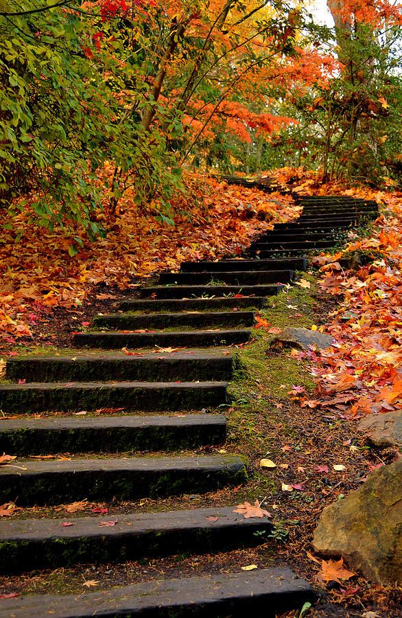 Winding stair in autumn Photograph by David Lyman - Fine Art America