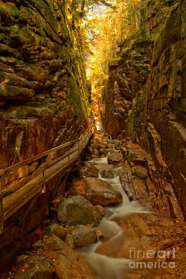 Winding Through Flume Gorge Photograph by Adam Jewell