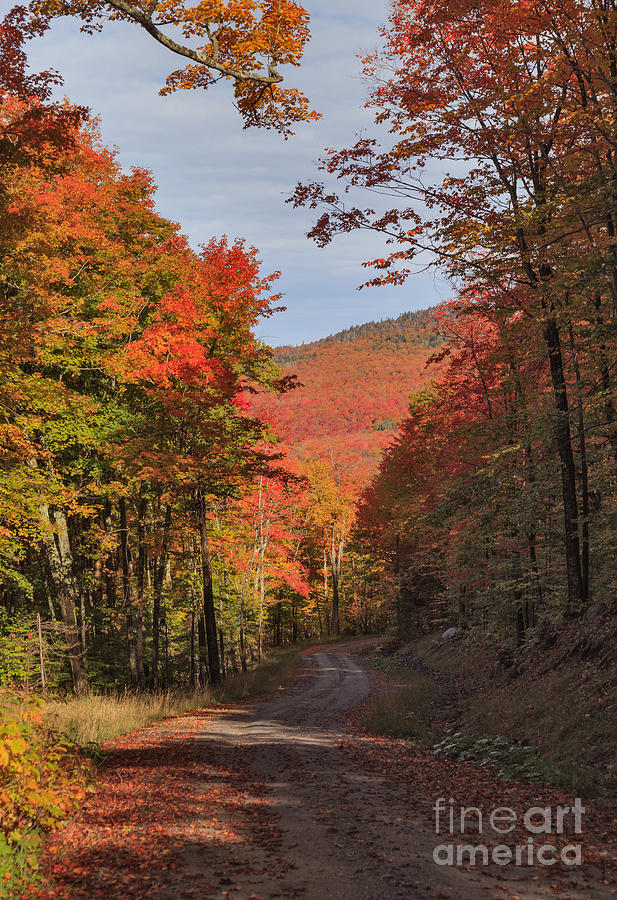 Fall Photograph - Winding Through Westmore by Charles Kozierok