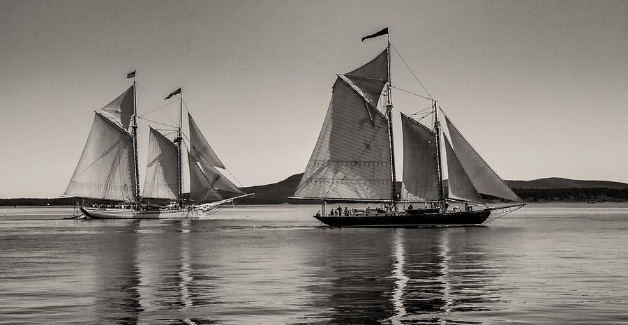 Windjammers Photograph - Windjammers No. 1 by Fred LeBlanc