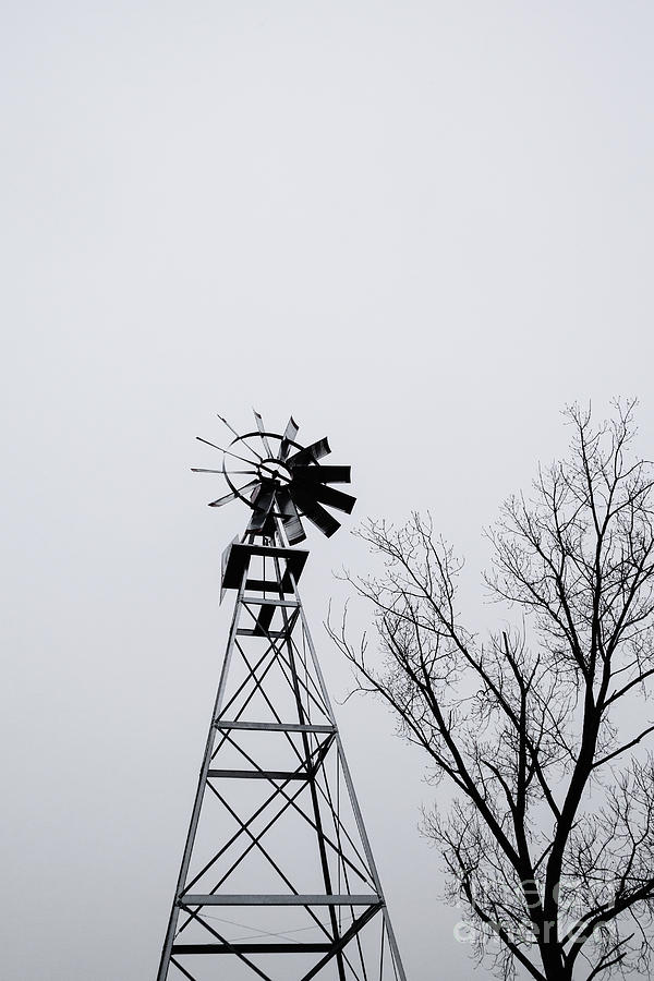 Windmill and Bare Tree Photograph by Diane Macdonald
