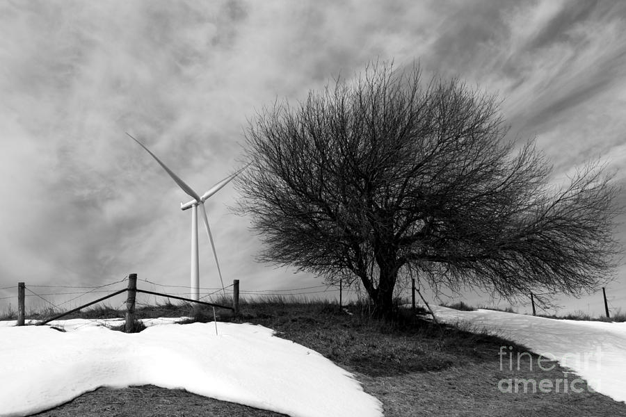 windmill and Tree Photograph by Rick Rauzi