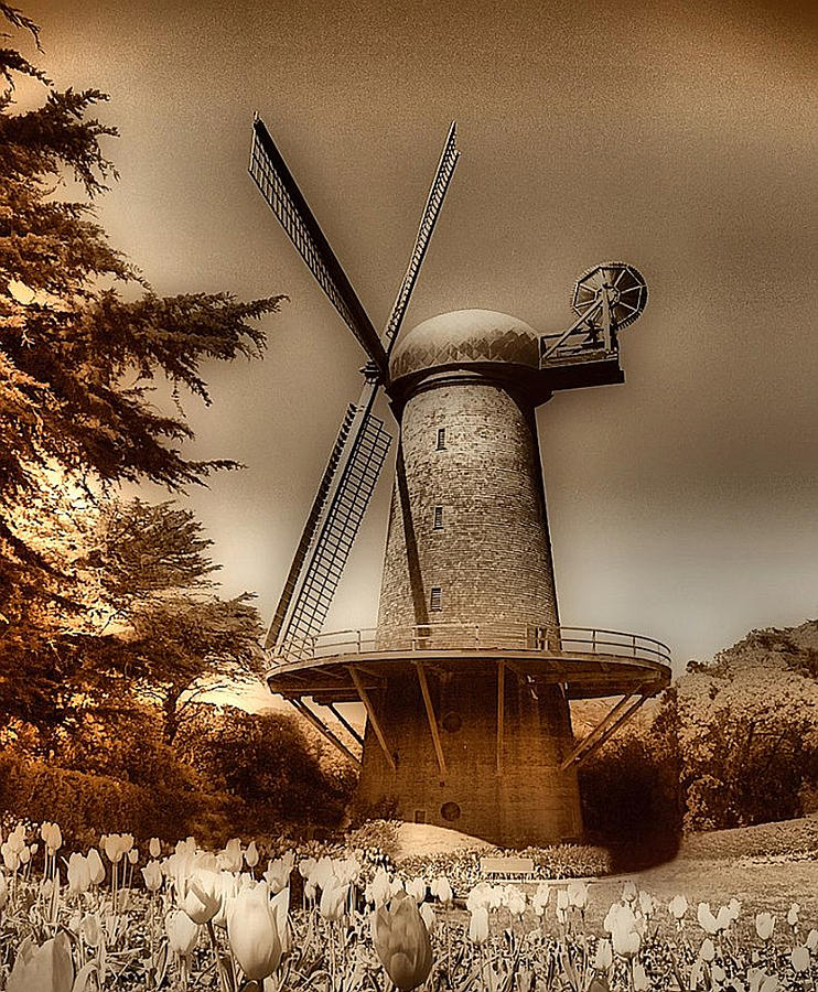 Windmill At GGP Photograph by Marcus Armani