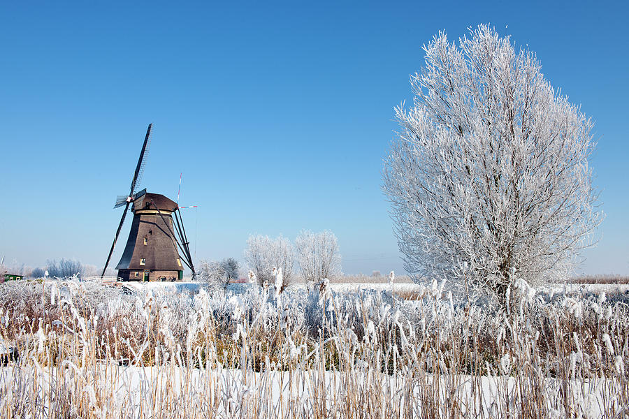 Windmill At Kinderdijk In Wintry Photograph by Pidjoe