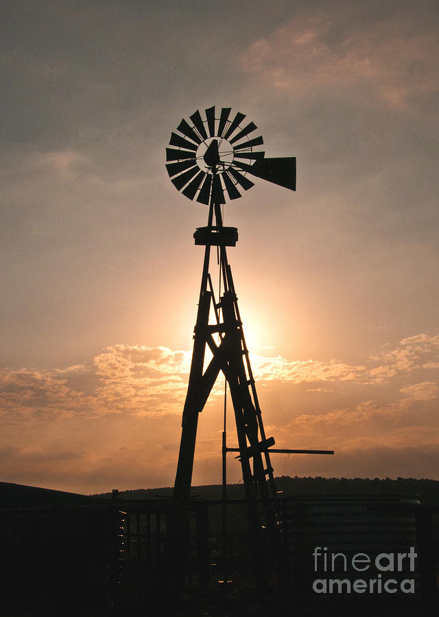 Windmill at Sunrise Photograph by Mae Wertz