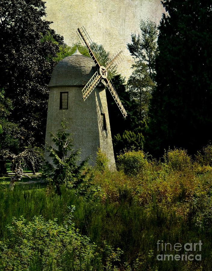 Nature Photograph - Windmill At The Park by Anne McDonald