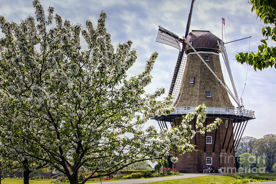 Windmill at Windmill Gardens Holland Digital Art by Georgianne Giese