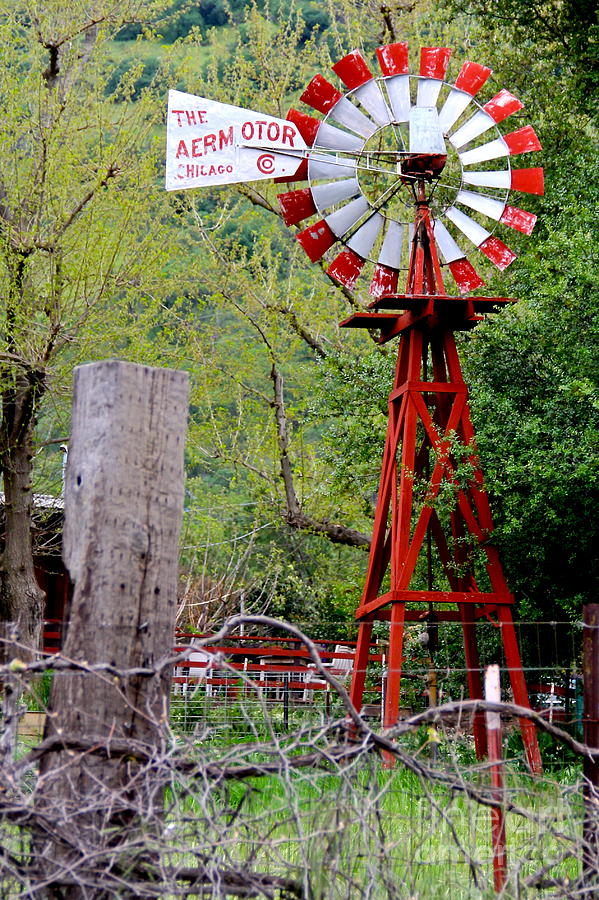 Windmill Chicago Photograph by Suzanne Oesterling