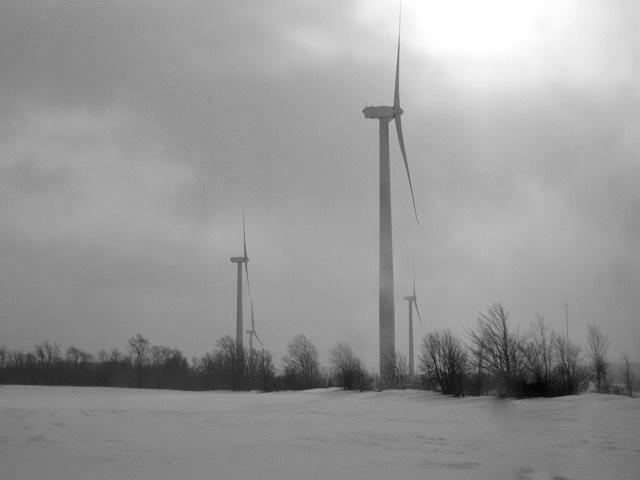 Windmills Photograph - Windmill Field by Missy Johnson-Trimble