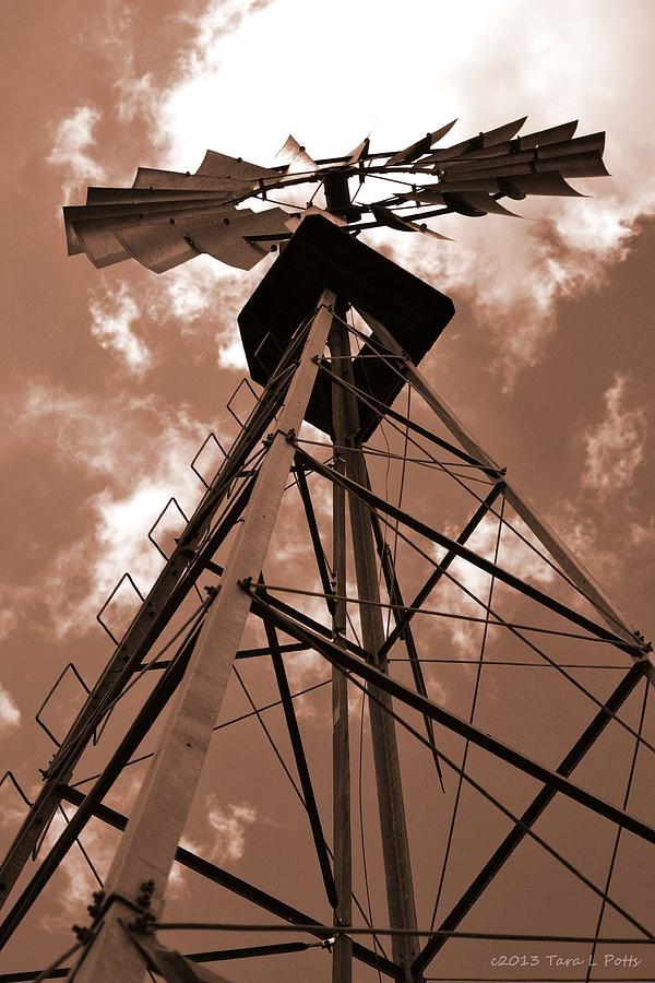 Windmill Heights at Sunset Photograph by Tara Potts