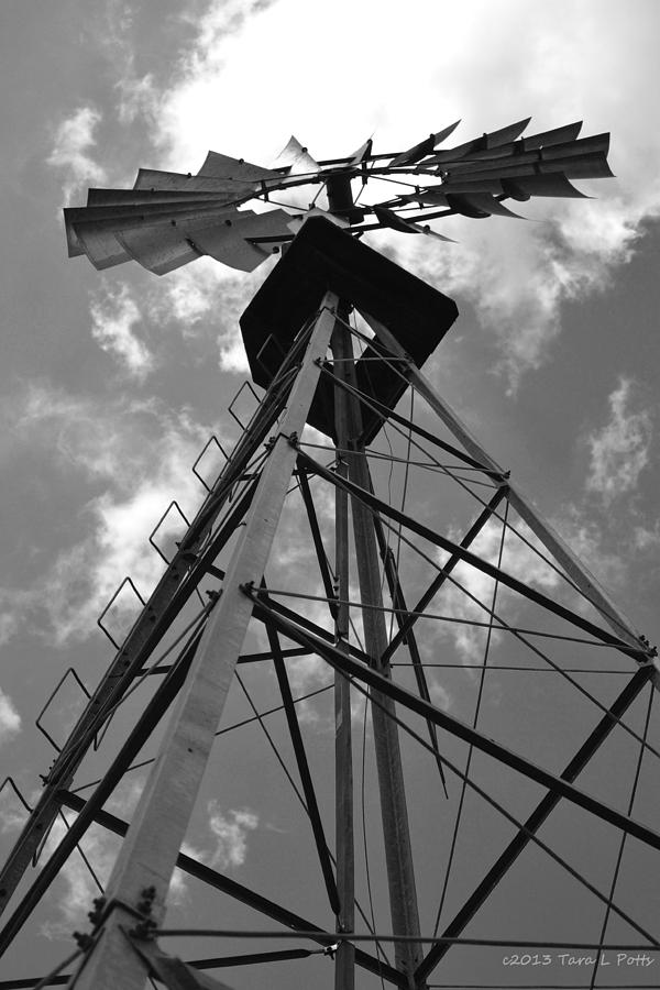 Windmill Heights Black and White Photograph by Tara Potts