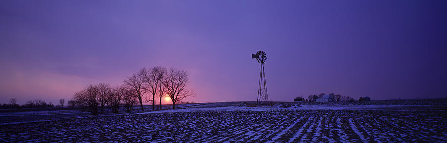 Nature Photograph - Windmill In A Field, Illinois, Usa by Panoramic Images