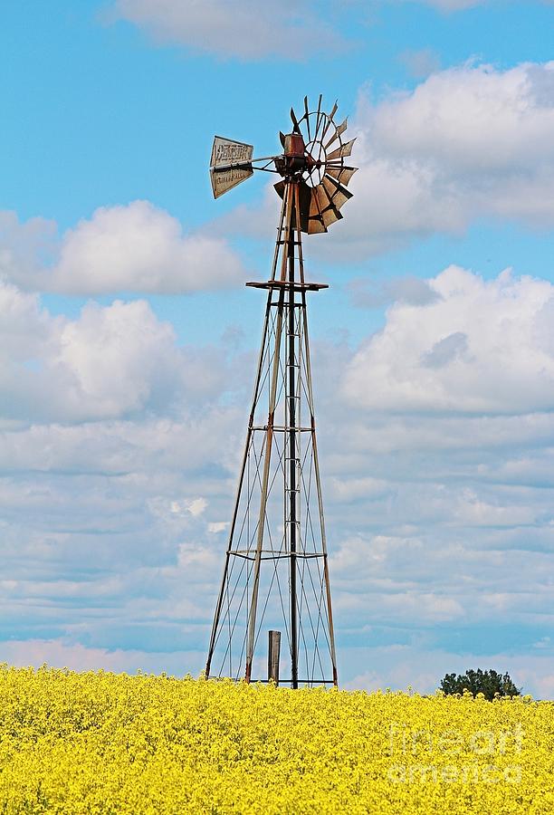Windmill in Canola Field Photograph by Ann E Robson