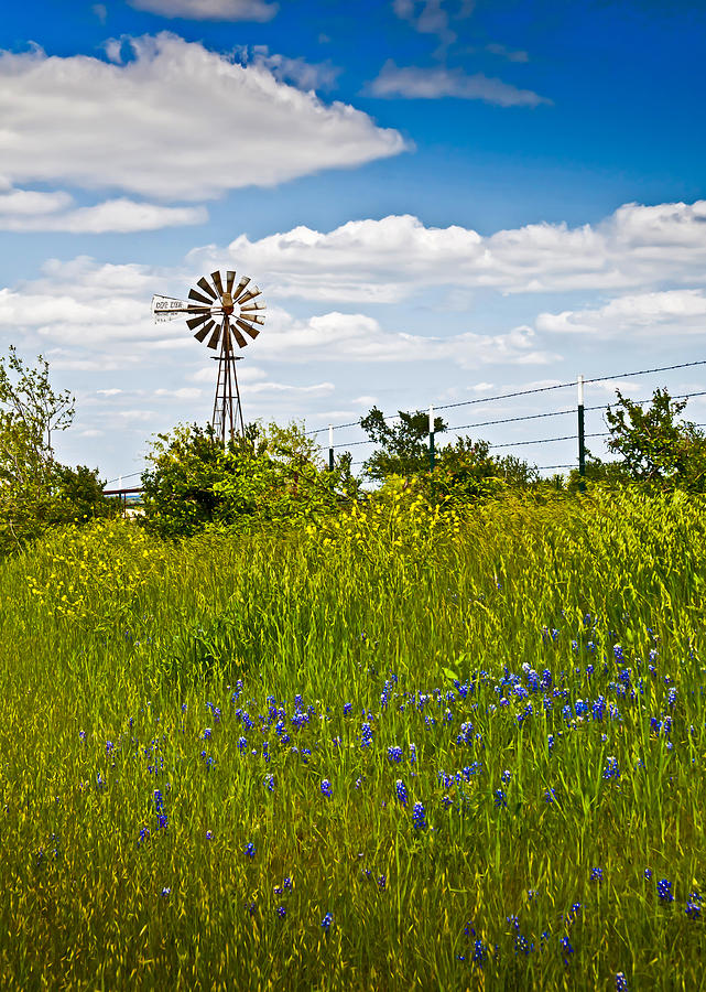 Windmill Photograph by Mark Alder