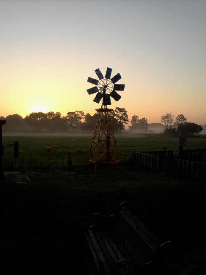 Windmill Sunrise Photograph by Edward Pebworth