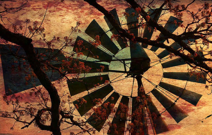 Windmill Through The Oak Photograph by Deena Stoddard