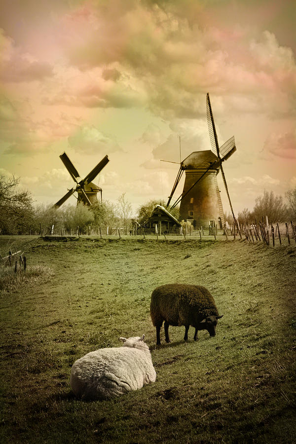 Windmill With Sheep Photograph by James Bethanis