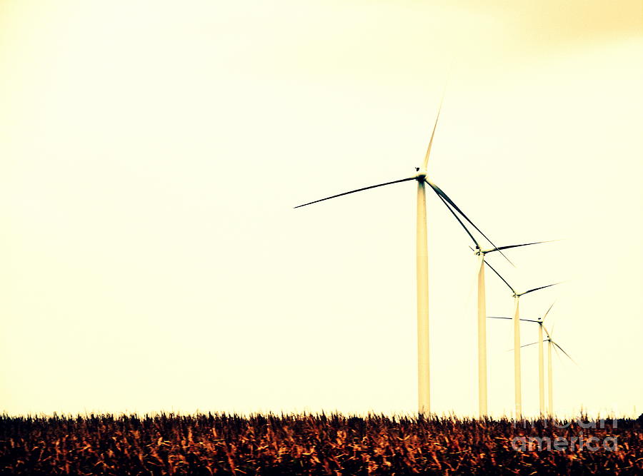 Windmills 1 Photograph by A K Dayton