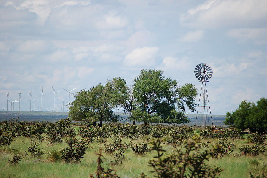 Windmills and Cholla Photograph by Greni Graph