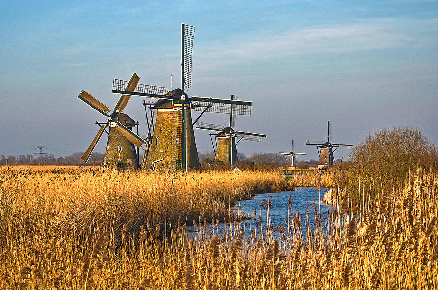 Windmills And Reeds Near Kinderdijk Photograph by Frans Blok
