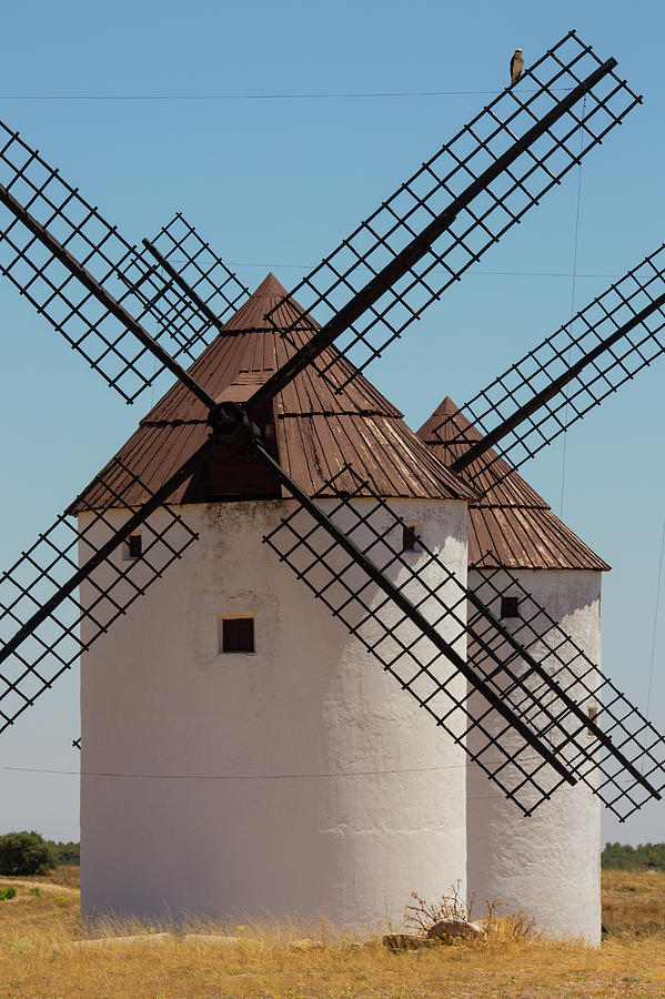 Windmills At Alcazar De San Juan - Spain Photograph by Steve Allen